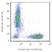 Surface staining of human peripheral blood cells with anti-human CD7 Antibody (PE).
