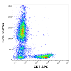 T-Cell Antigen CD7 (CD7) Antibody (APC)