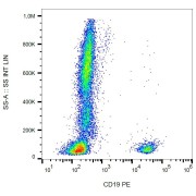 Surface staining of human peripheral blood cells with anti-human CD19 PE. 