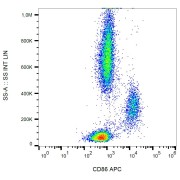 Surface staining of human peripheral blood cells with anti-CD86 APC.