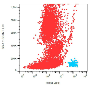 Surface staining of CD34+ cells in human peripheral blood with anti-human CD34 APC. 