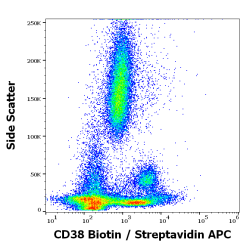 Cyclic ADP Ribose Hydrolase (CD38) Antibody (Biotin)