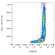 Surface staining of human peripheral blood cells with anti-CD58 PE.