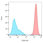 Surface staining of HL-60 (positive) and SP2 (negative) cells with anti-human CD59 APC.