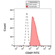 Surface staining of human PHA-activated peripheral blood using CD69 antibody (FITC).