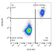 Intracellular staining of CD79a in human peripheral blood with anti-CD79a PE.