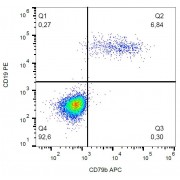 Surface staining of CD79b in human peripheral blood with anti-CD79b APC.