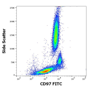 Flow cytometry analysis of Human peripheral whole blood, using FITC- conjugated ADGRE5 antibody (20 μl reagent / 100 μl of peripheral whole blood).