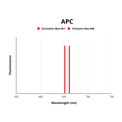 Cadherin-1 (CDH1) Antibody (APC)