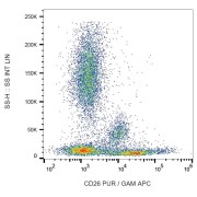Surface staining of human peripheral blood cells with anti-human CD26 purified, GAM-APC.