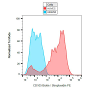 Surface staining of CD105 on Huvec cells with CD105 Antibody (Biotin).