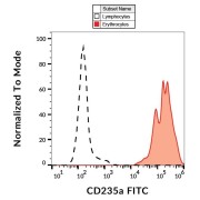 Surface staining of human peripheral blood using CD235a Antibody (FITC).