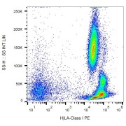 Surface staining of human peripheral blood with anti-HLA-class I PE.