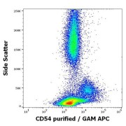 Flow cytometry analysis (surface staining) of ICAM1 expression in human peripheral blood using ICAM1 Antibody (0.6 µg/ml).