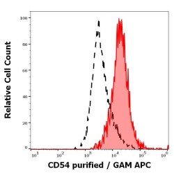 Intercellular Adhesion Molecule 1 (ICAM1) Antibody