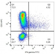 Intracellular staining of IFN gamma in PHA-activated human PBMC with anti-IFN gamma FITC.