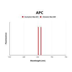 Integrin Beta 2 (ITGB2) Antibody (APC)