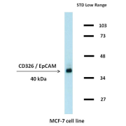 abx139725