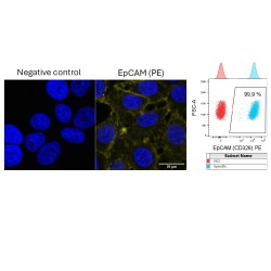 Epithelial Cell Adhesion Molecule (EPCAM) Antibody (PE)
