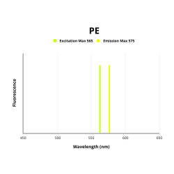 Epithelial Cell Adhesion Molecule (EPCAM) Antibody (PE)