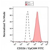 Surface staining of human MCF-7 cell line using human CD326 / EpCAM Antibody (FITC).