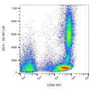 Surface staining of human peripheral blood cells with anti-CD46 APC.