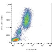 Surface staining of human peripheral blood with anti-human CD10 PerCP.
