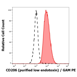 Macrophage Mannose Receptor 1 (MRC1) Antibody