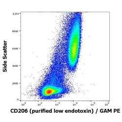 Macrophage Mannose Receptor 1 (MRC1) Antibody