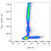 Surface staining of human peripheral blood with anti-human CD56 PE.
