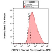 Surface staining (flow cytometry) of REH cells with CD271 Antibody (Biotin), streptavidin APC.