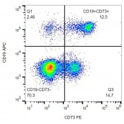 Surface staining (flow cytometry) of human peripheral blood using human CD73 Antibody (PE). 