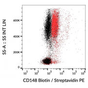 Surface staining of human peripheral blood leukocytes using CD148 Antibody (Biotin).
