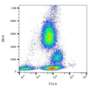 Surface staining of human peripheral blood cells with Human CD162 Antibody (PE).