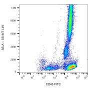 Surface staining of human peripheral blood with anti-CD43 FITC.