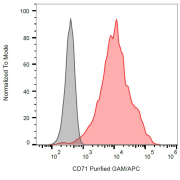 Surface staining of CD71 in K562 cells with anti-CD71 purified, GAM-APC.