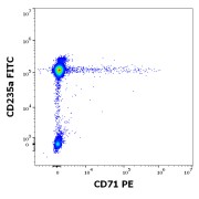 Flow cytometry separation of K562 cells stained using PE-conjugated Transferrin Receptor Protein 1 / CD71 (TFRC) Antibody (3 μg/ml, red) from K562 cells stained using PE-conjugated Mouse IgG1 isotype control antibody (3 μg/ml, black).