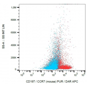 Surface staining of murine splenocytes with anti-CD197 purified, DAR-APC.