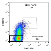 Intracellular staining of human peripheral blood cells (gated on CD4+ cells) with FoxP3 Antibody (APC).