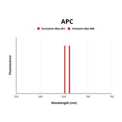 Forkhead Box Protein P3 (FOXP3) Antibody (APC)