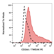 Surface staining of CD266-transfected L51784 cells with CD266 Antibody (PE).