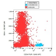 Surface staining of CD34+ cells in human peripheral blood with anti-CD34 purified.