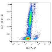 Surface staining of human peripheral blood leukocytes with anti-human CD19 PerCP.