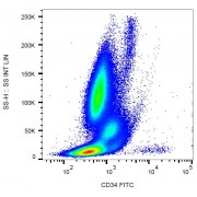 Surface staining of CD34+ cells in human peripheral blood with anti-CD34 FITC.