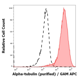 alpha-tubulin Antibody