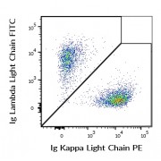 Flow cytometry multicolor surface staining of human CD19 positive B cells, using PE-conjugated anti-human Ig Kappa Light Chain antibody (abx140278, 5 µg/ml) and FITC-conjugated mouse anti-human Ig Lambda Light Chain antibody (<a href="https://www.abbexa.com/index.php?route=product/search&search=abx140281" target="_blank">abx140281</a>, 5 µg/ml).