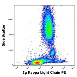 Kappa Light Chain Antibody (PE)