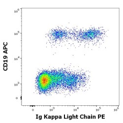 Kappa Light Chain Antibody (PE)