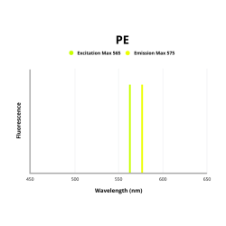 Kappa Light Chain Antibody (PE)