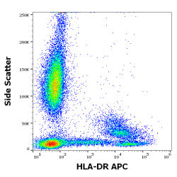 HLA-DR Antigens-Associated Invariant Chain (HLA-DR) Antibody (APC)
